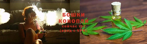 дмт Богданович